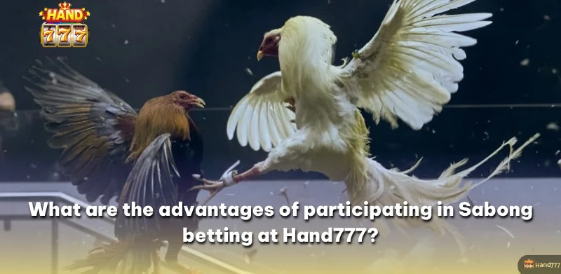 What are the advantages of participating in Sabong betting at Hand777?