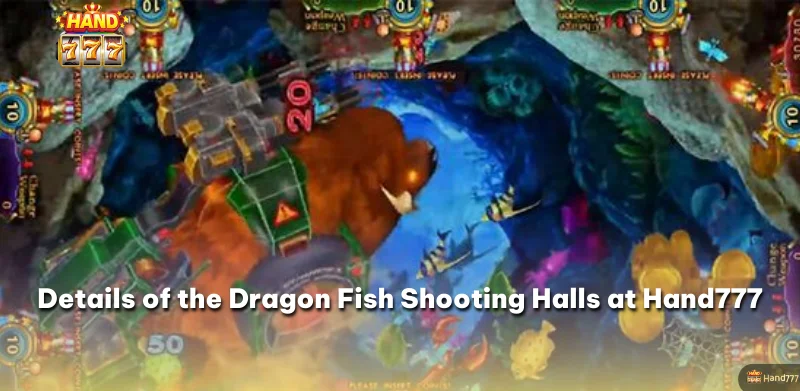 Details of the Dragon Fish Shooting Halls at Hand777