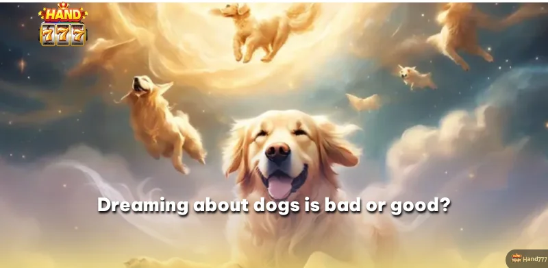 Dreaming about dogs is bad or good?