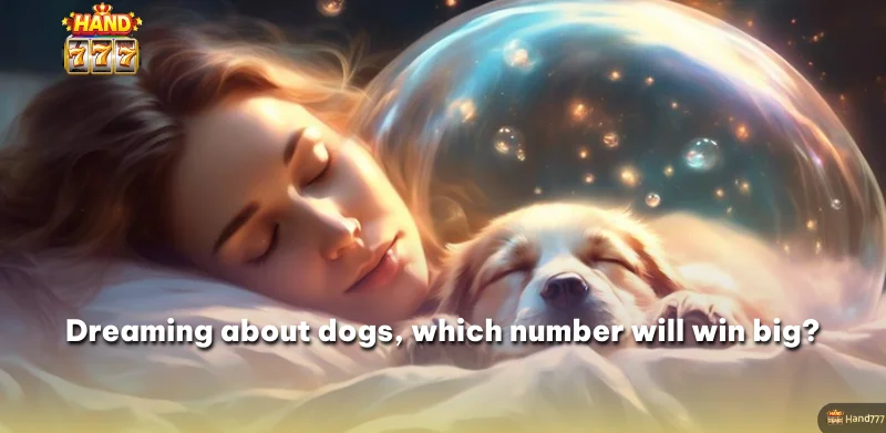 Dreaming about dogs, which number will win big?