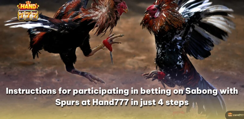 Instructions for participating in betting on Sabong with Spurs at Hand777 in just 4 steps