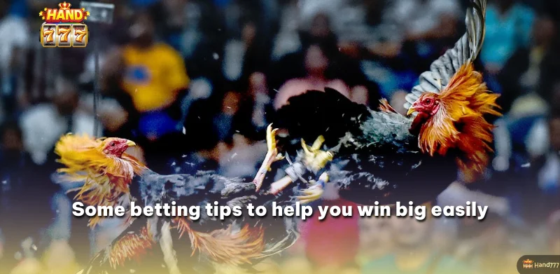 Some betting tips to help you win big easily