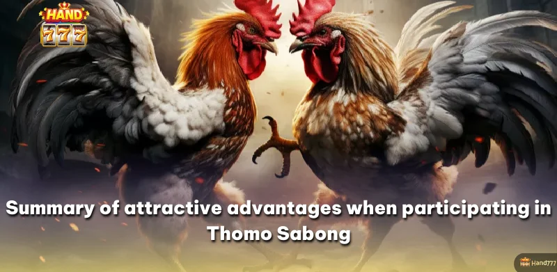 Summary of attractive advantages when participating in Thomo Sabong