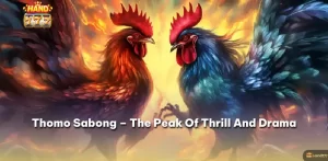 Thomo Sabong – The Peak Of Thrill And Drama