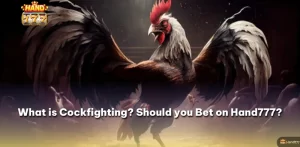 What is Cockfighting?